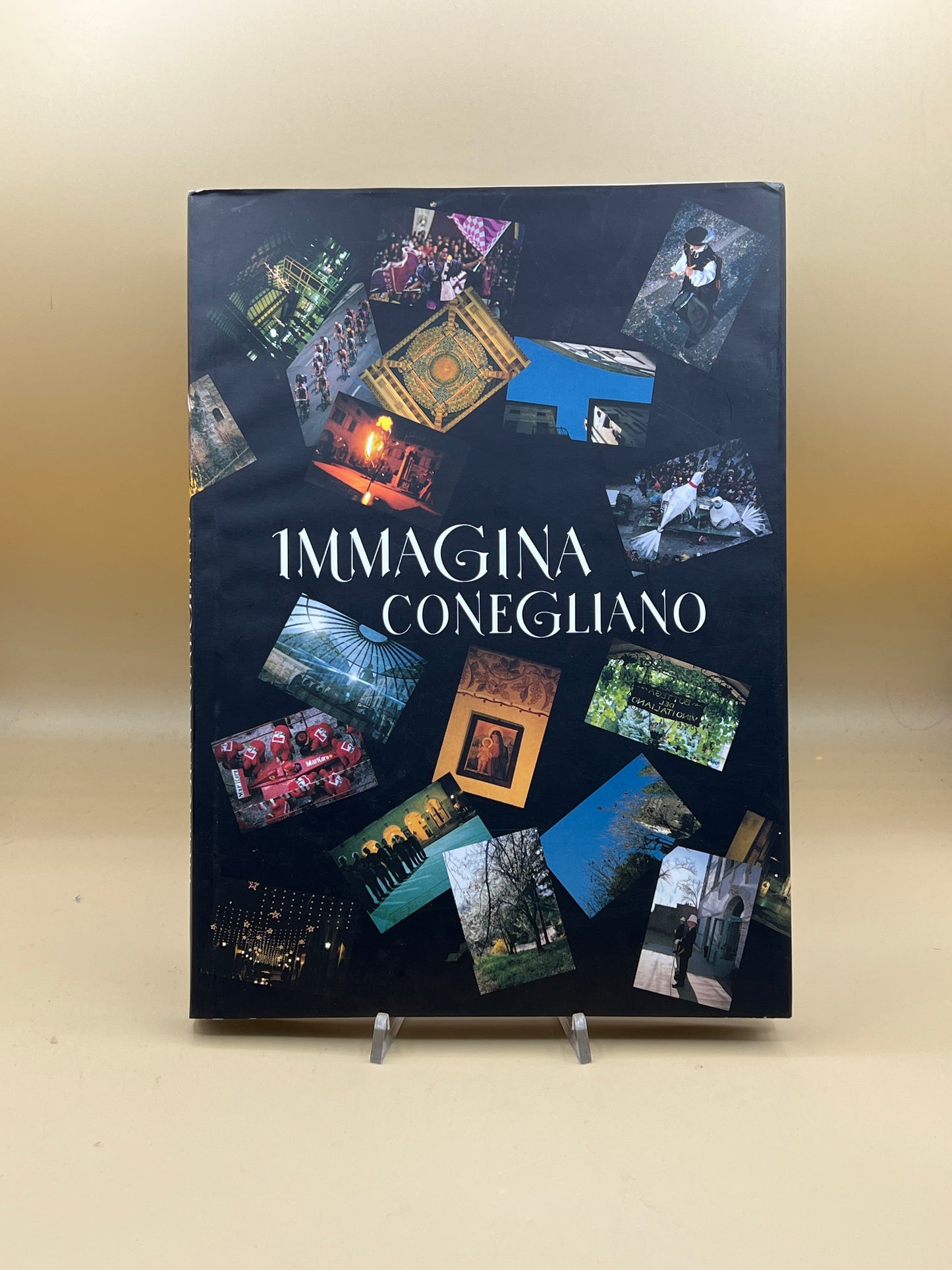 Immagina Conegliano - Paolo Renier