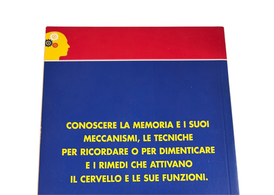 Memoria E Lucidità mentale, ecco come potenziarle