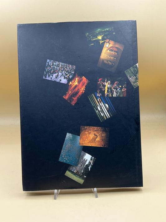 Immagina Conegliano - Paolo Renier