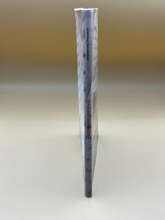 Ricordi Di Gioventù