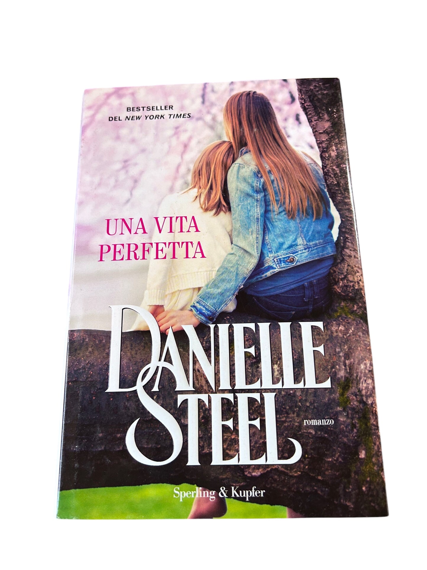Una Vita Perfetta - Danielle Steel