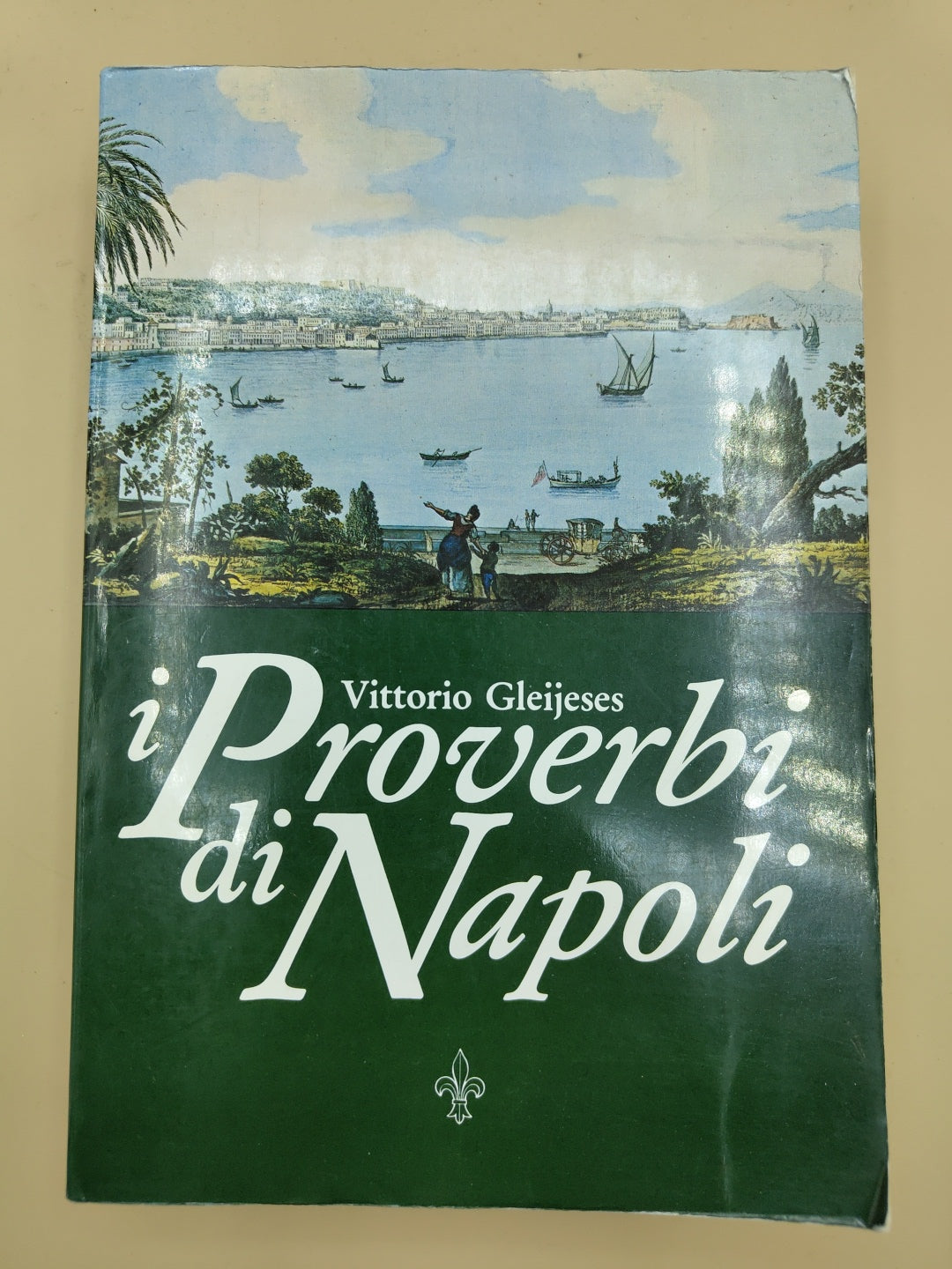 I Proverbi Di Napoli - Vittorio Gleijeses