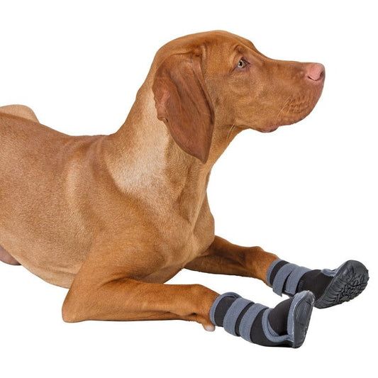 Scarpe protettive per cani «Active» XXS nuovo