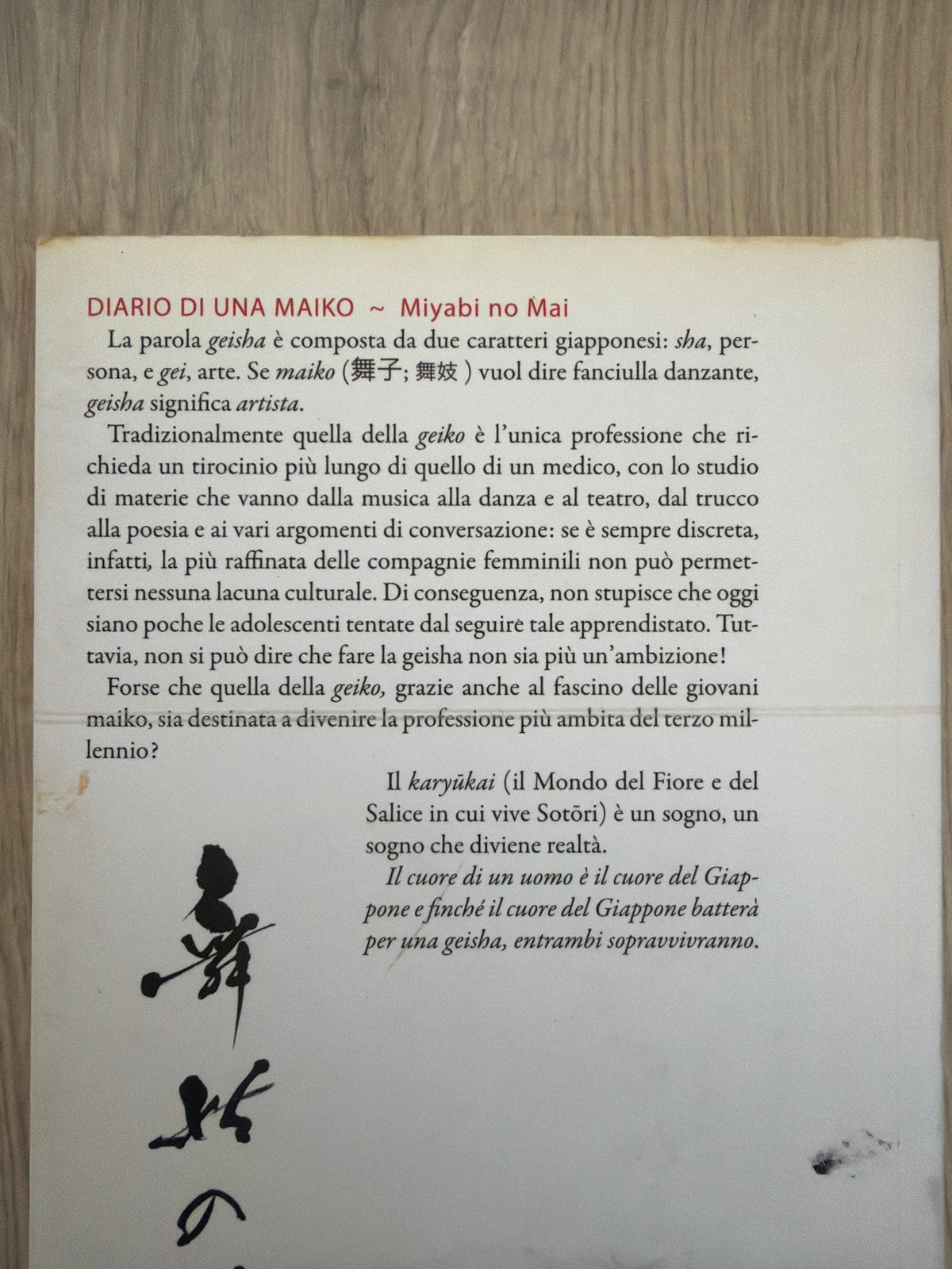 Diario Di Una Maiko