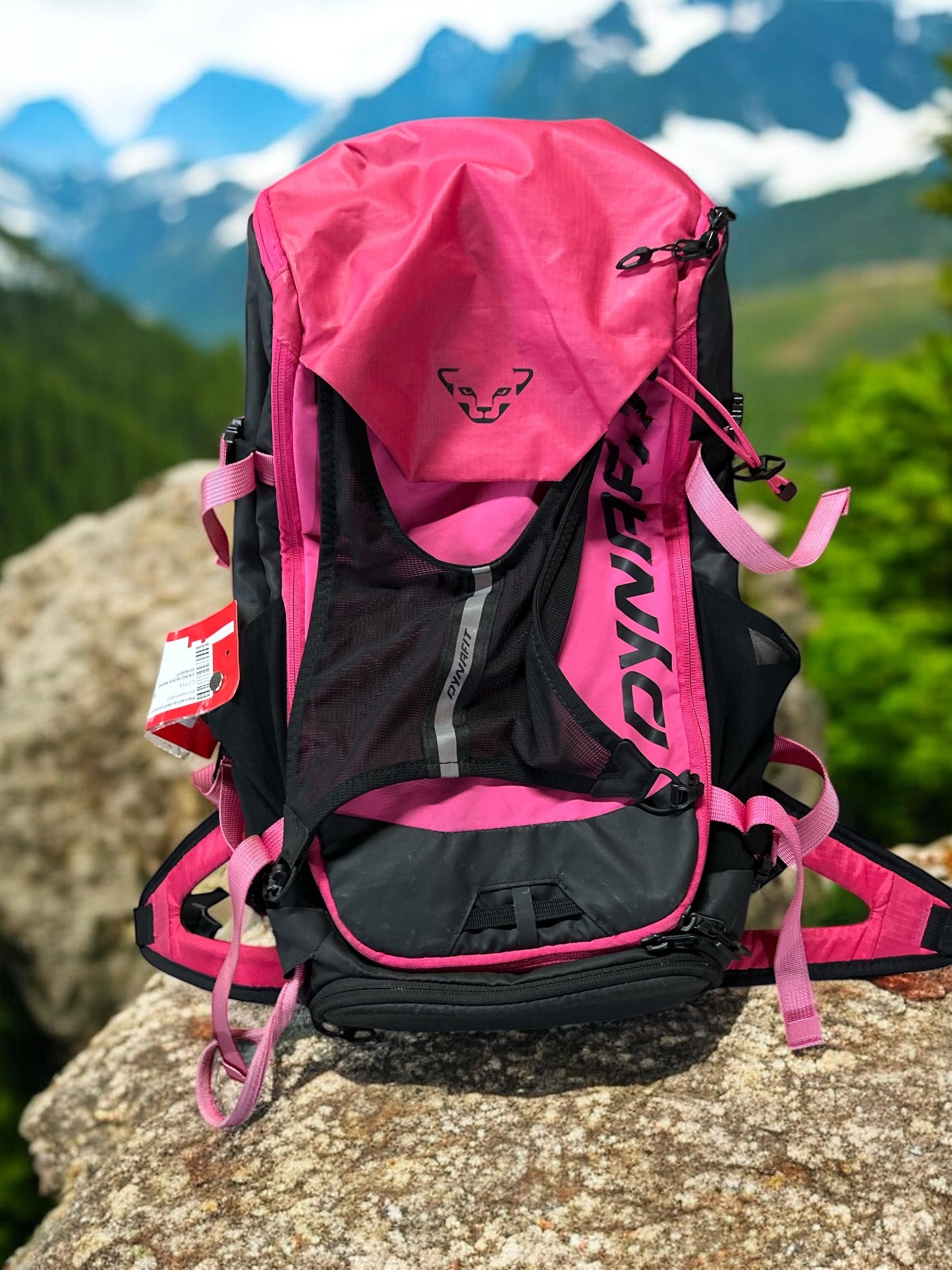 Zaino Rosa Nero Dynafit