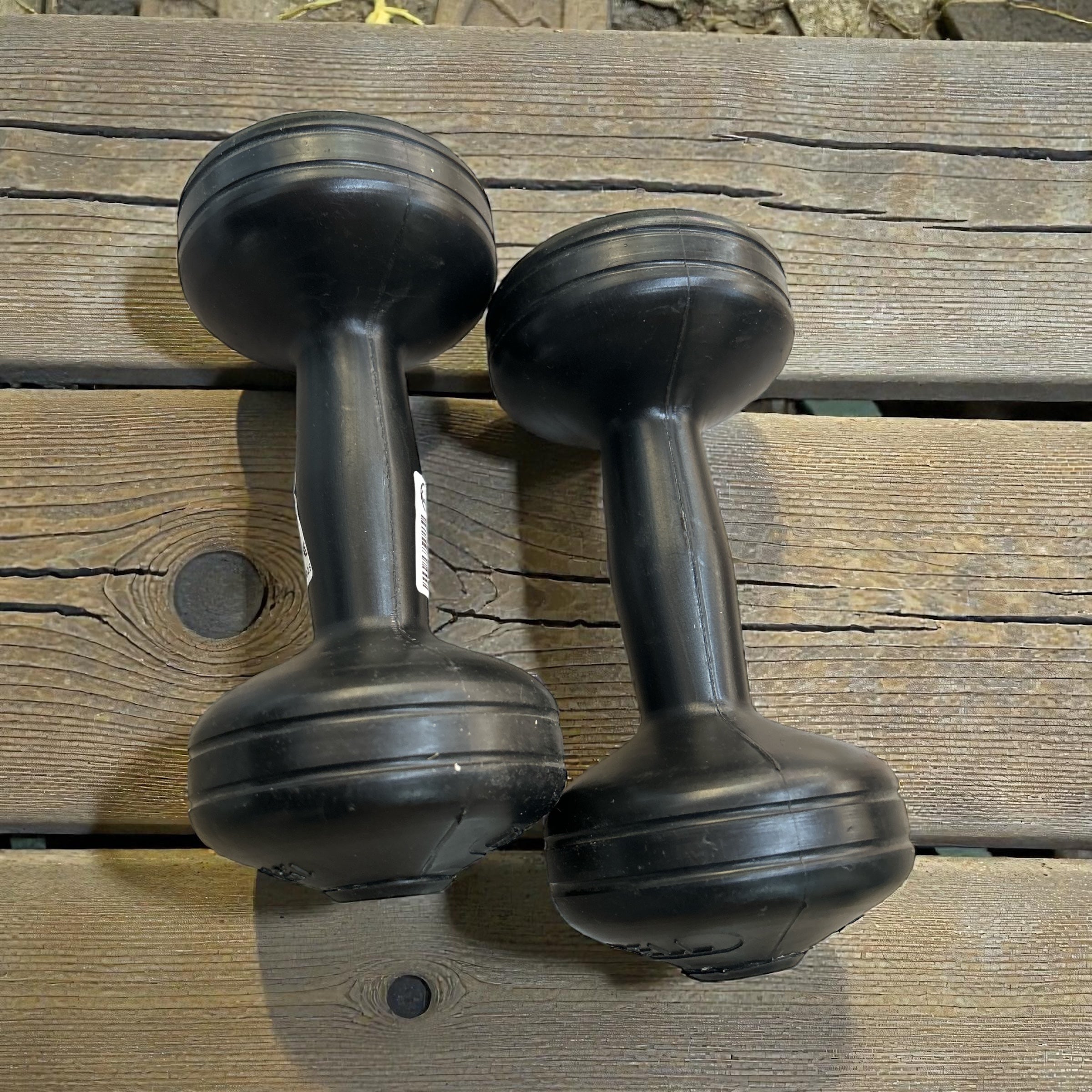 Coppia Pesi da 1.5 Kg