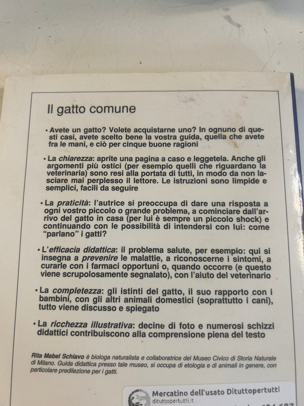 Guida Al Gatto Comune - Rita Mabel Schiavo