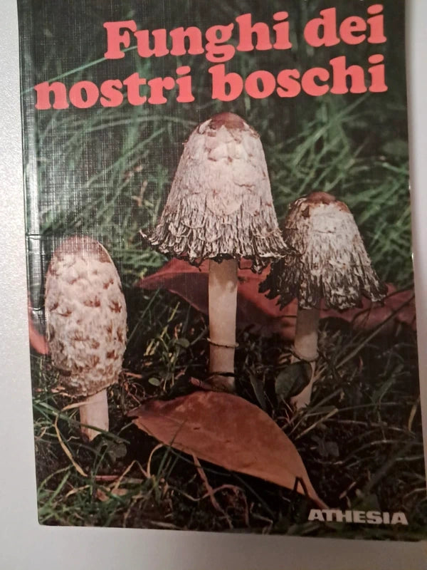 Funghi Dei Nostri Boschi - Christoph Mayr