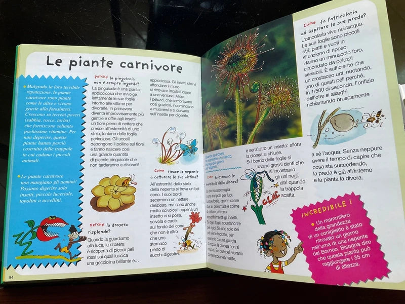 La Natura. Per Rispondere Alle Domande Dei Bambini - Emmanuelle Paroissien - Larus