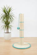 Tiragraffi Gatto