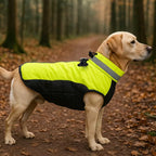 Cappotto Caldo Per Cani, Giacca Verde Fluorescente,