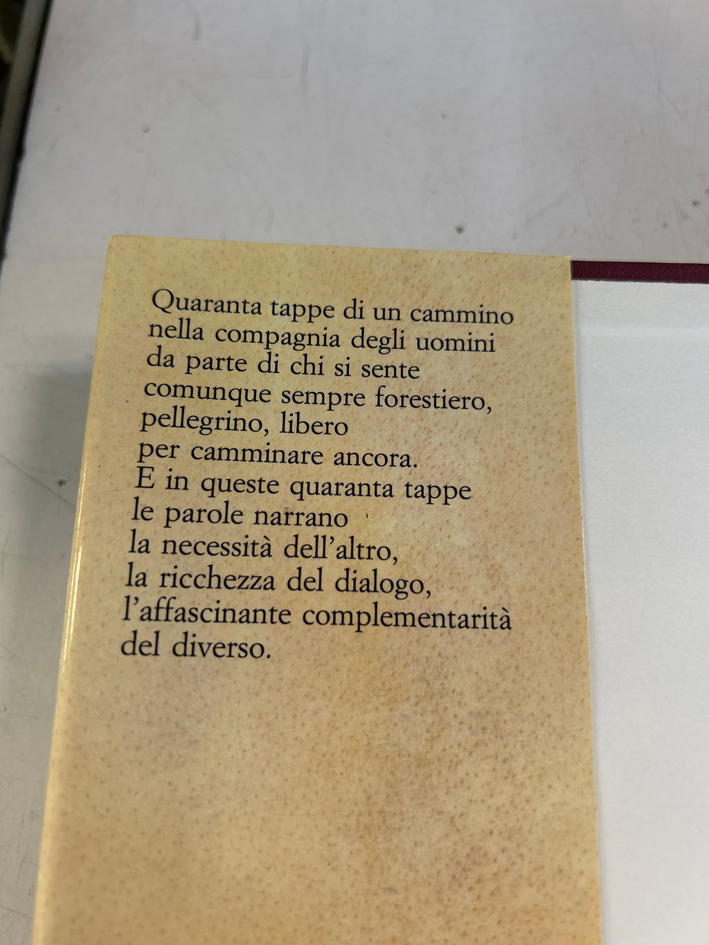 Da Forestiero. Nella Compagnia Degli Uomini - Enzo Bianchi