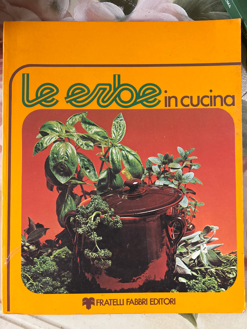 Le Erbe In Cucina