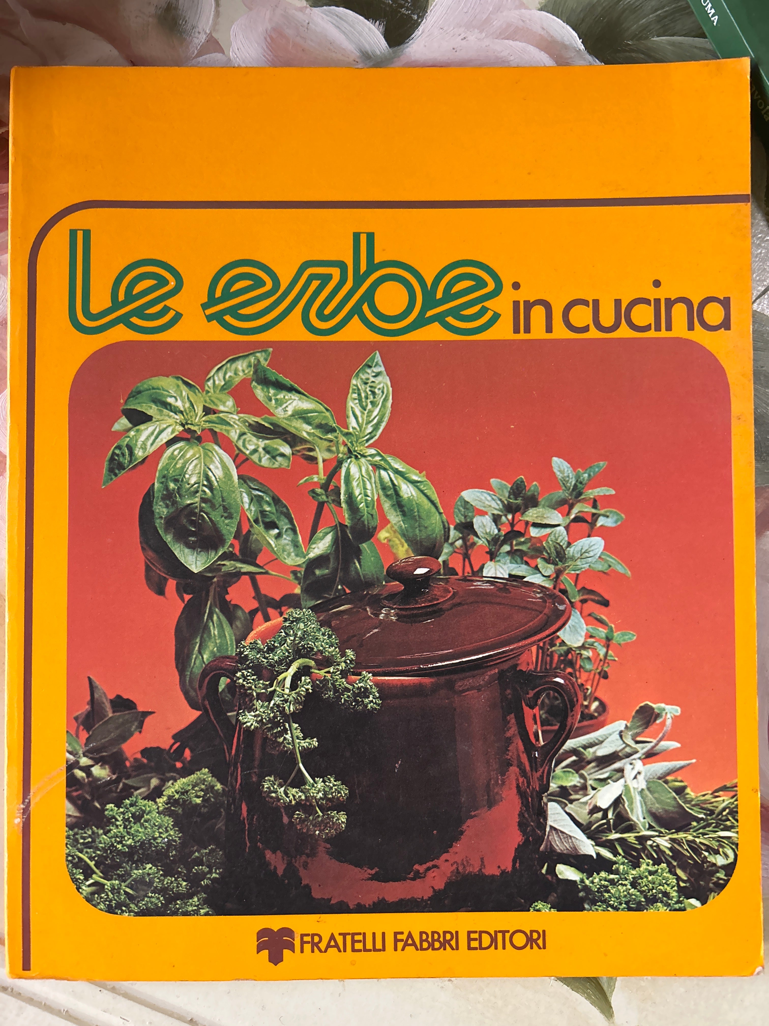 Le Erbe In Cucina