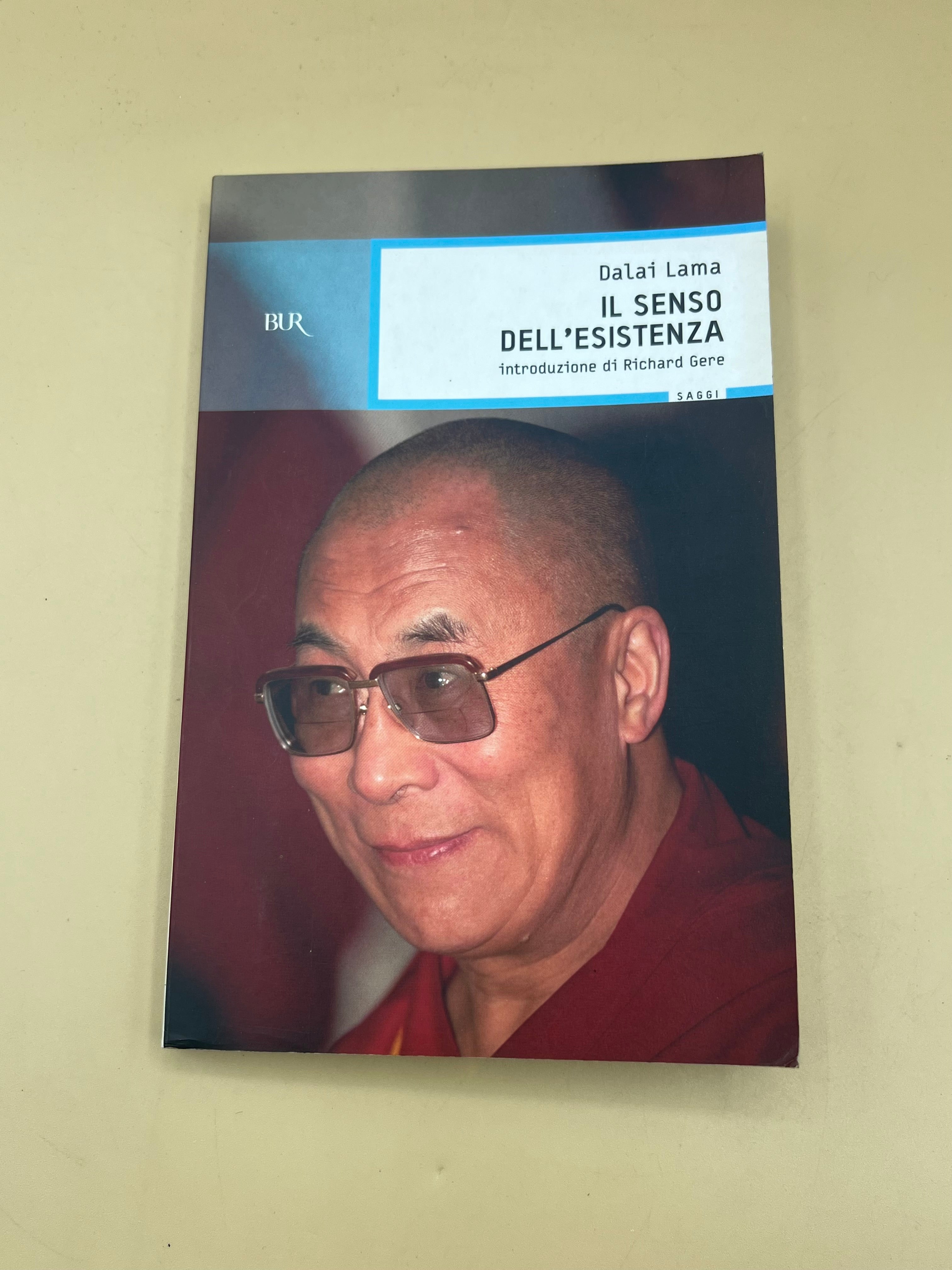 Il Senso Dell'esistenza - Dali Lama