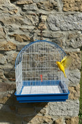 Gabbia Canarini Uccellini Blu