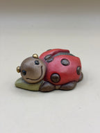 Thun Coccinella Piccola