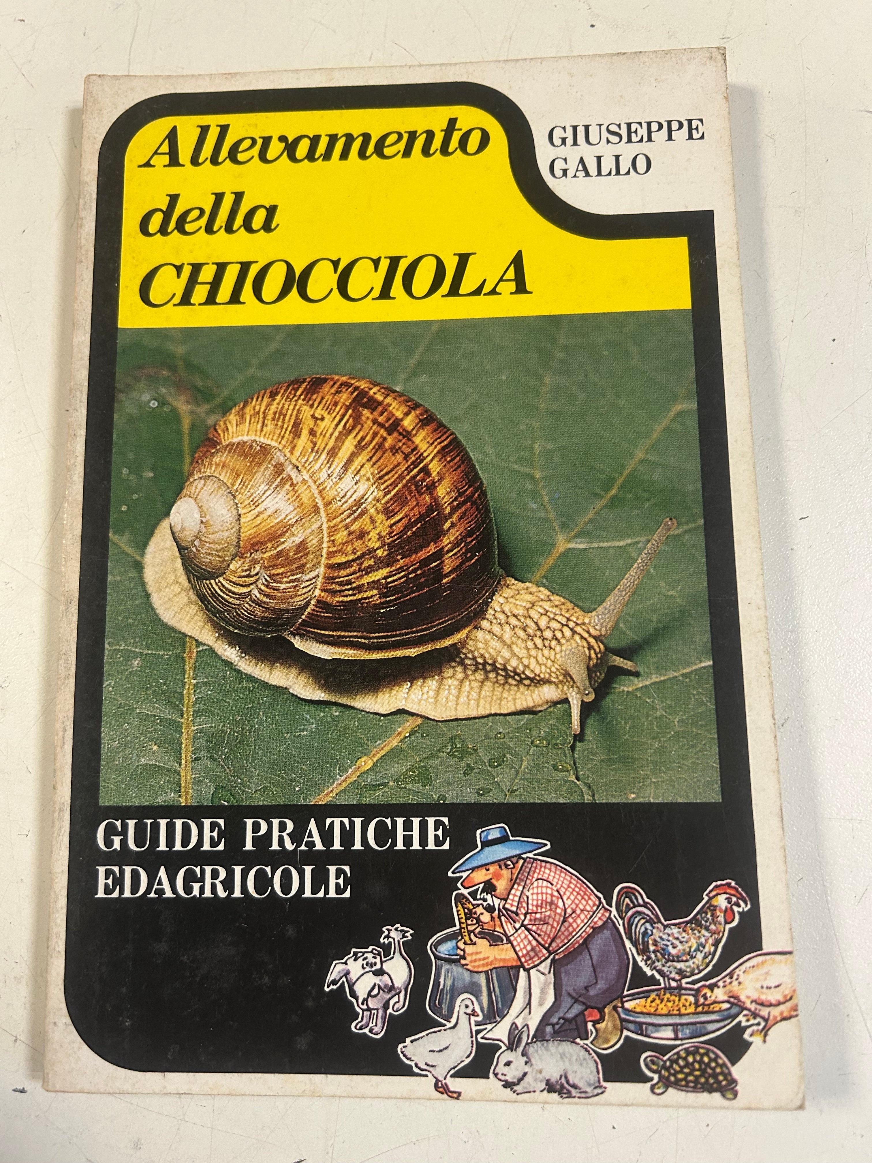 Allevamento Della Chiocciola
