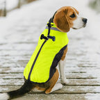 Cappotto Caldo Per Cani, Giacca Verde Fluorescente,