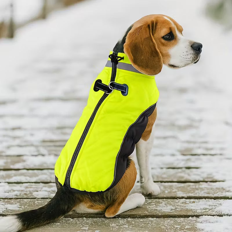 Cappotto Caldo Per Cani, Giacca Verde Fluorescente,