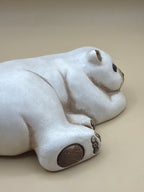 Orso Polare Thun