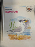 Imparare I Contrari