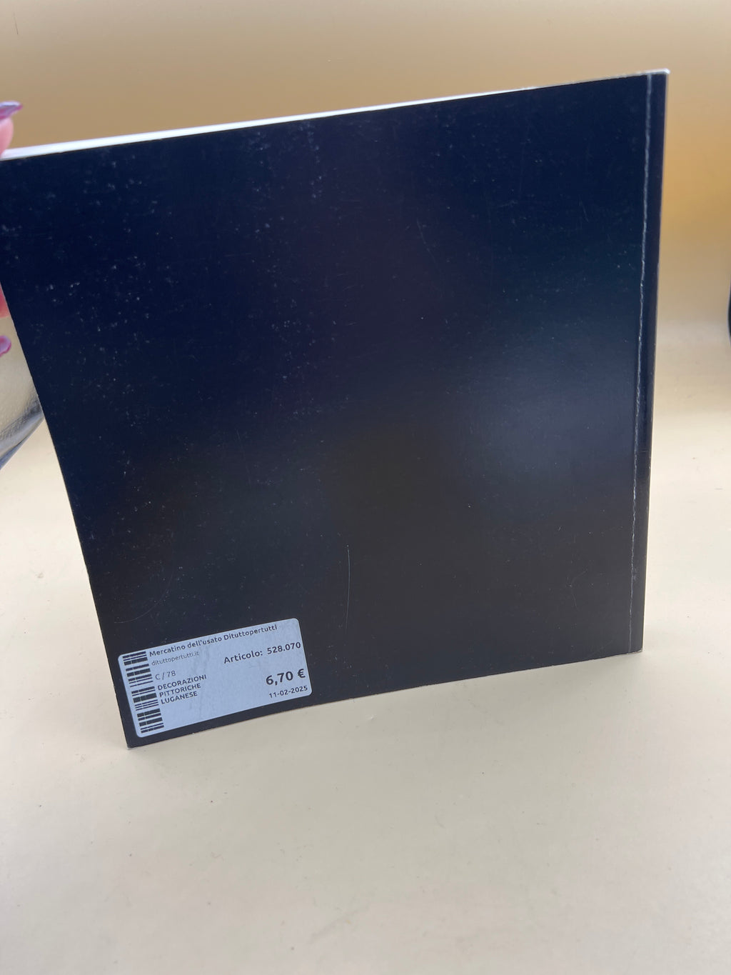 Decorazioni Pittoriche Nel Luganese