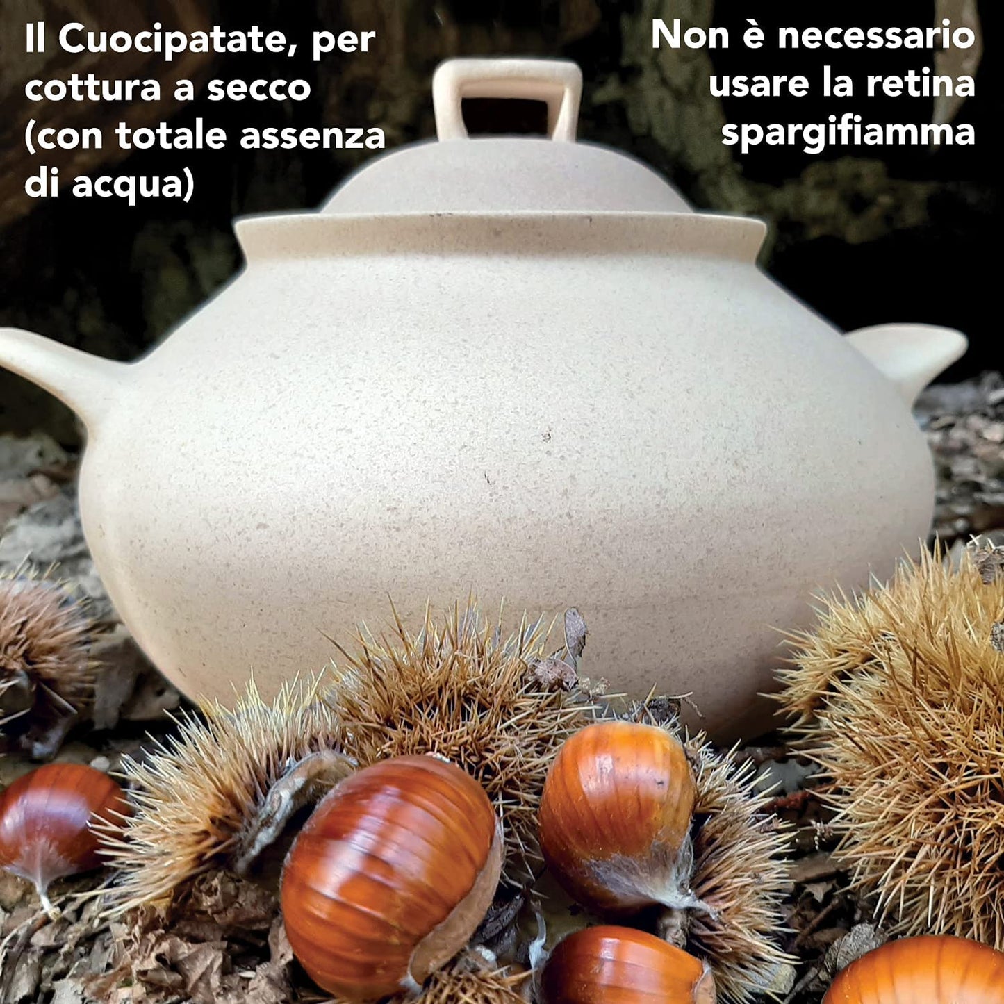 Wald Sapori & Benessere 007-FIA-GRI Cuocipatate-Cuocicastagne con Coperchio in Argilla da Fiamma, Naturale