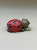 Thun Coccinella Piccola