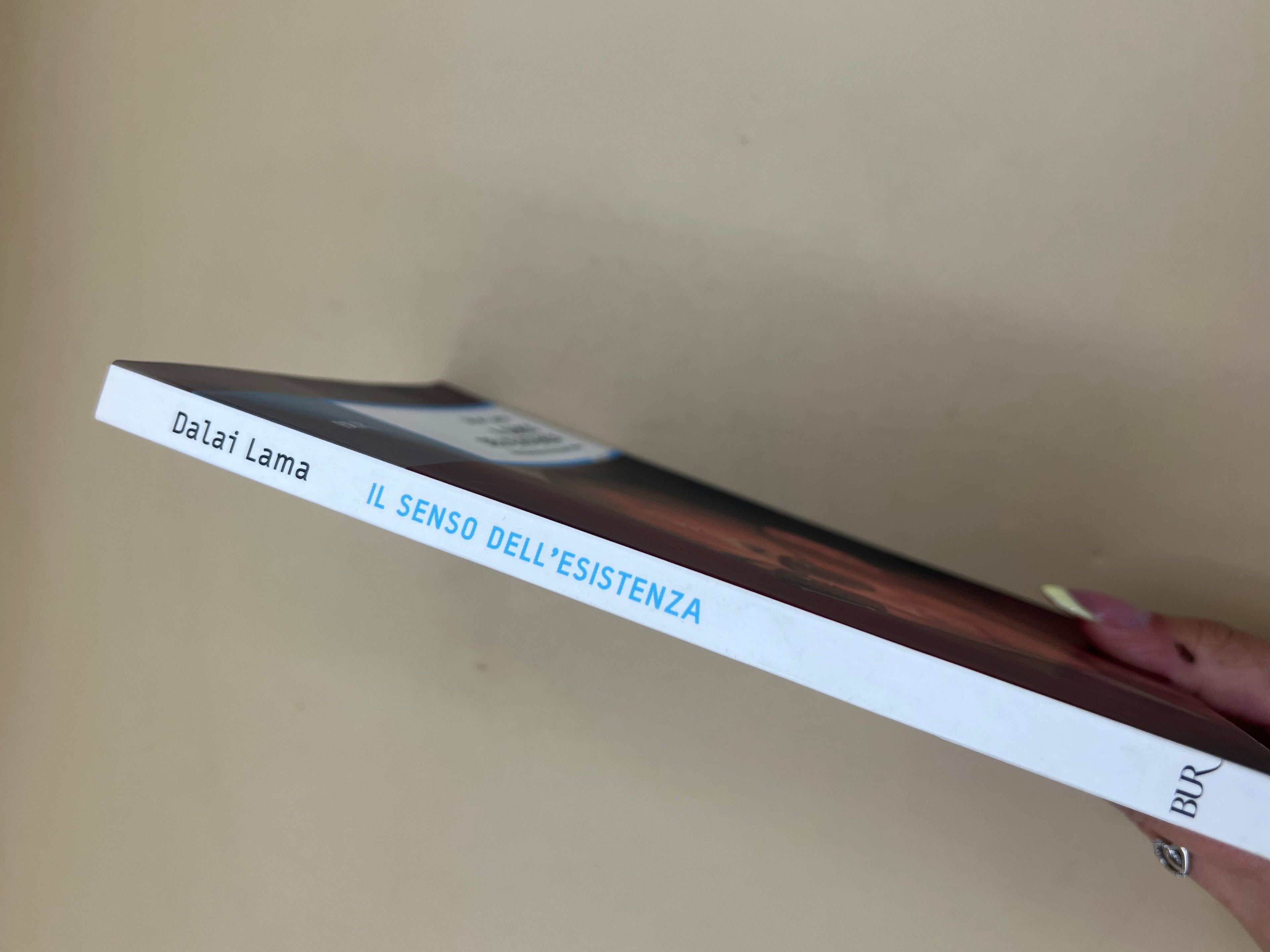 Il Senso Dell'esistenza - Dali Lama