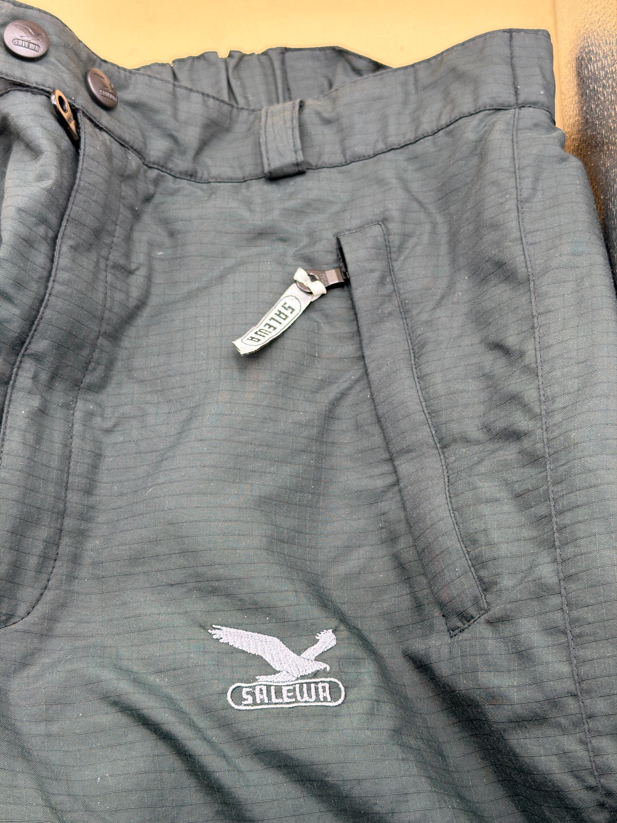 Pantaloni Da Sci Verdi Salewa M