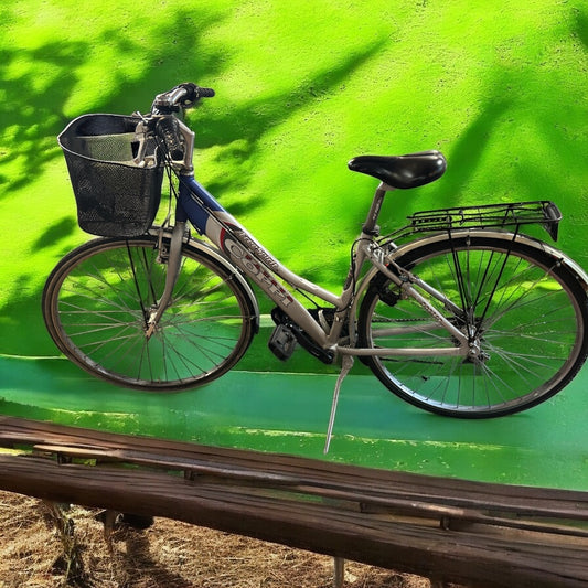 Bicicletta Fausto Coppi da Città