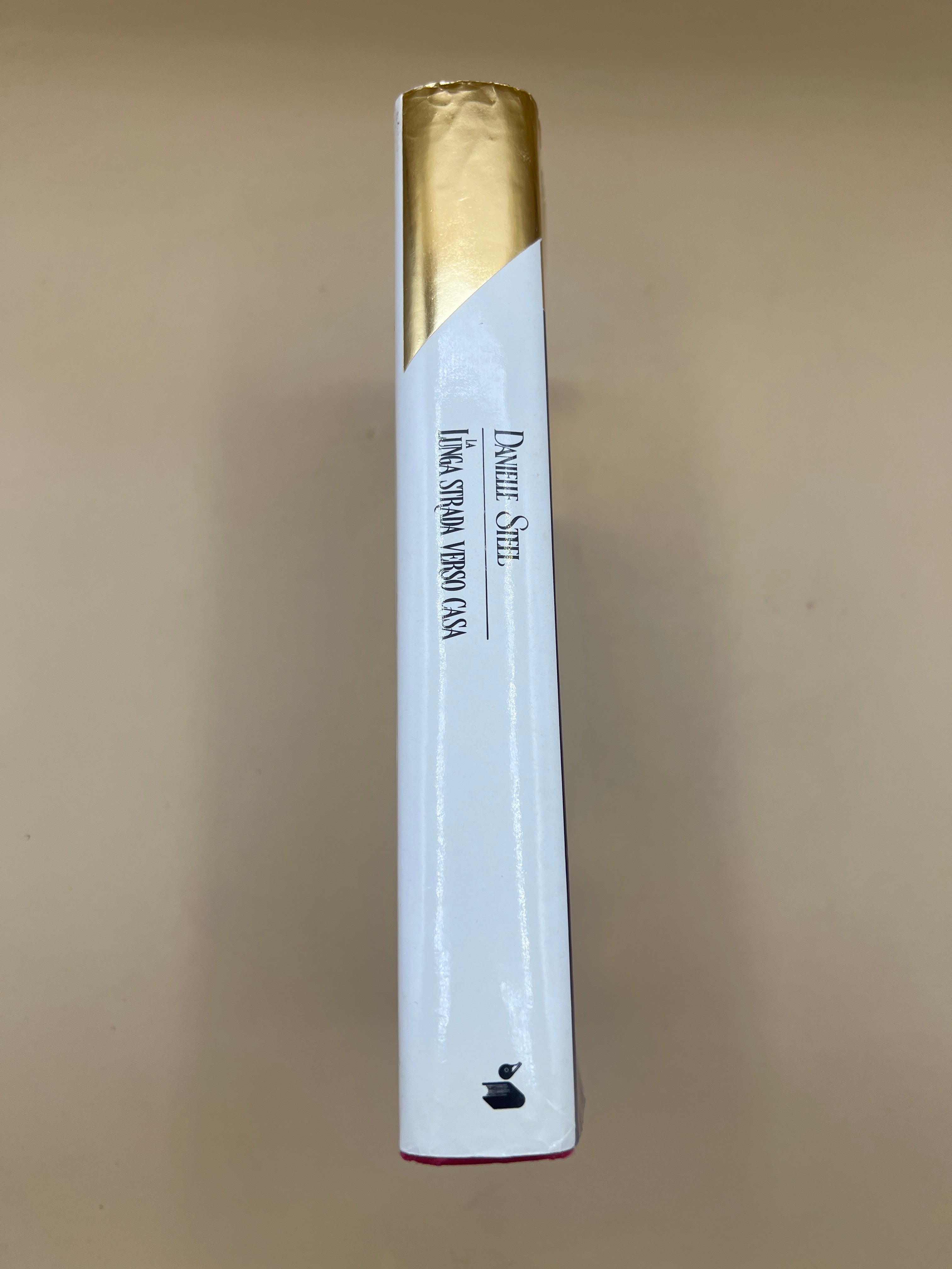 La Lunga Strada Verso Casa - Danielle Steel