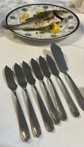 6 Coltelli Da Pesce + coltello grande acciaio