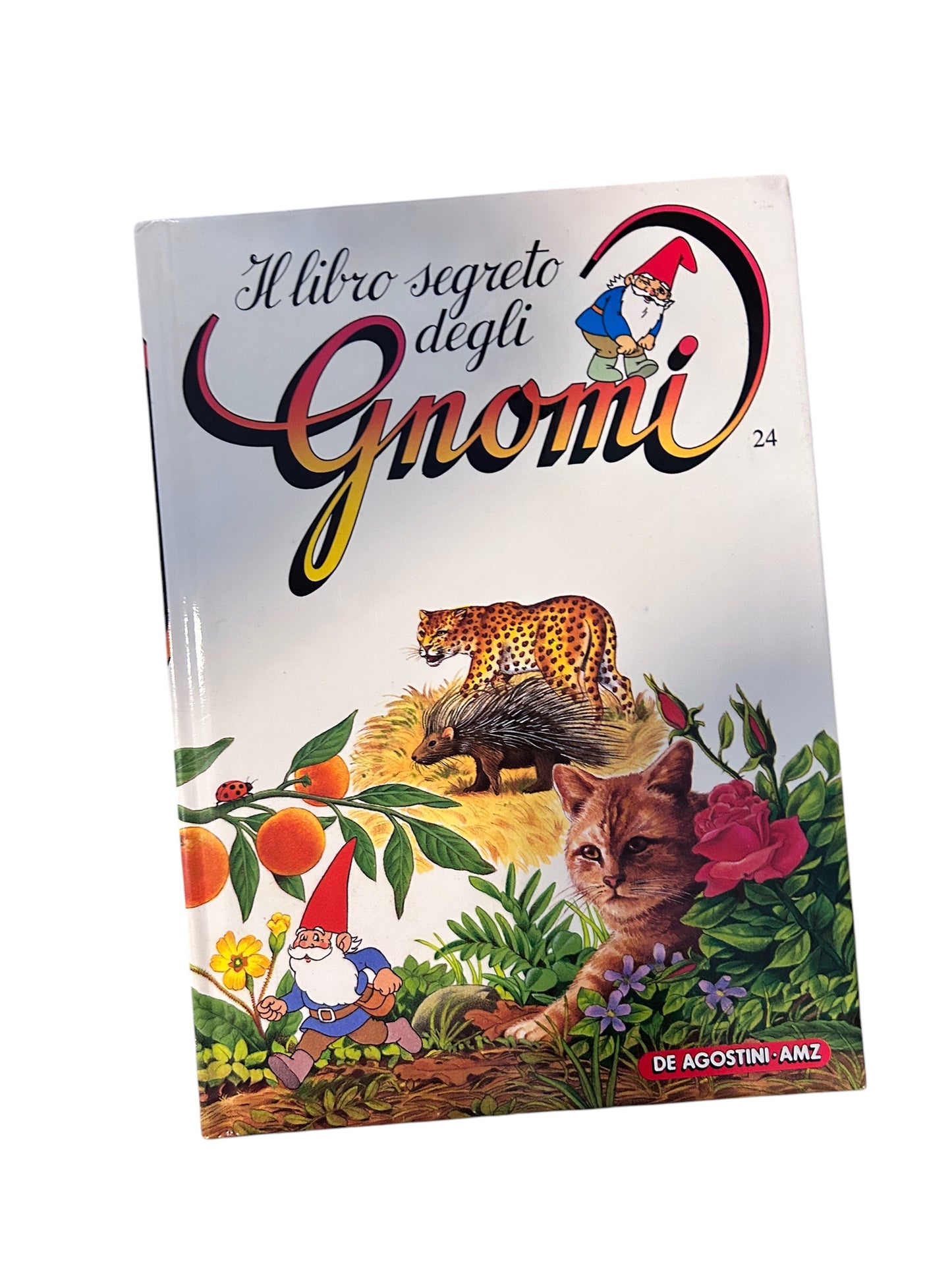 Il Libro Segreto Degli Gnomi 24