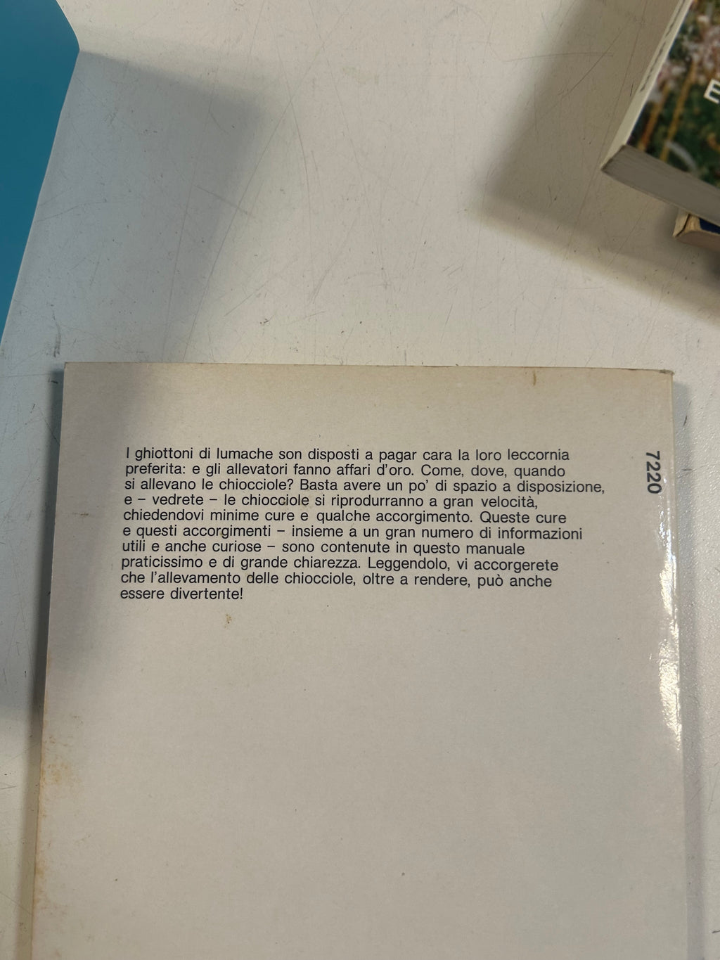 L'allevamento Redditizio Delle Lumache