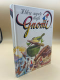 Il Libro Segreto Degli Gnomi 23