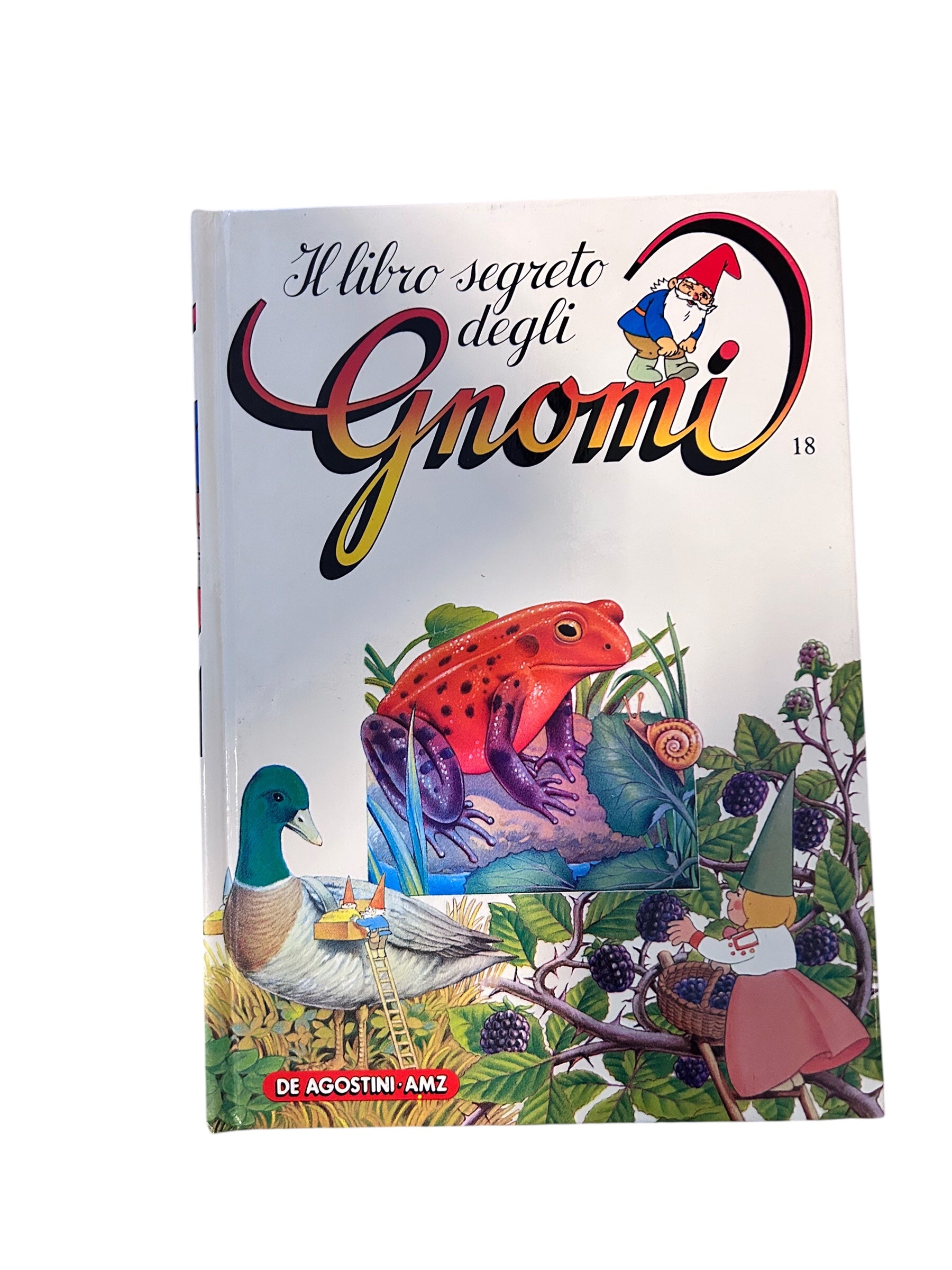 Il Libro Segreto Degli Gnomi 18