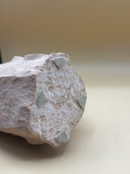 Testa Pietra Contemporanea