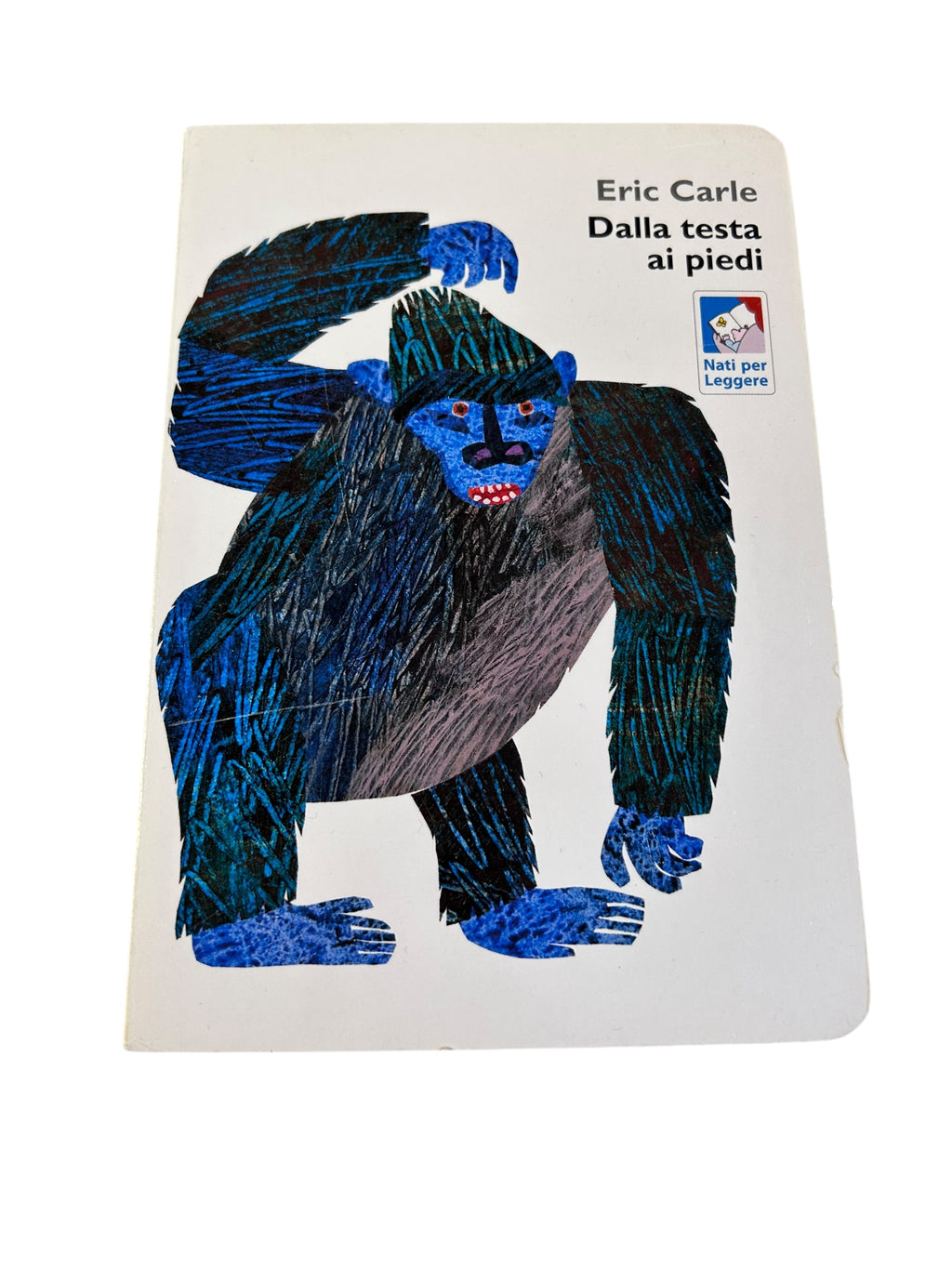 Dalla Testa Ai Piedi