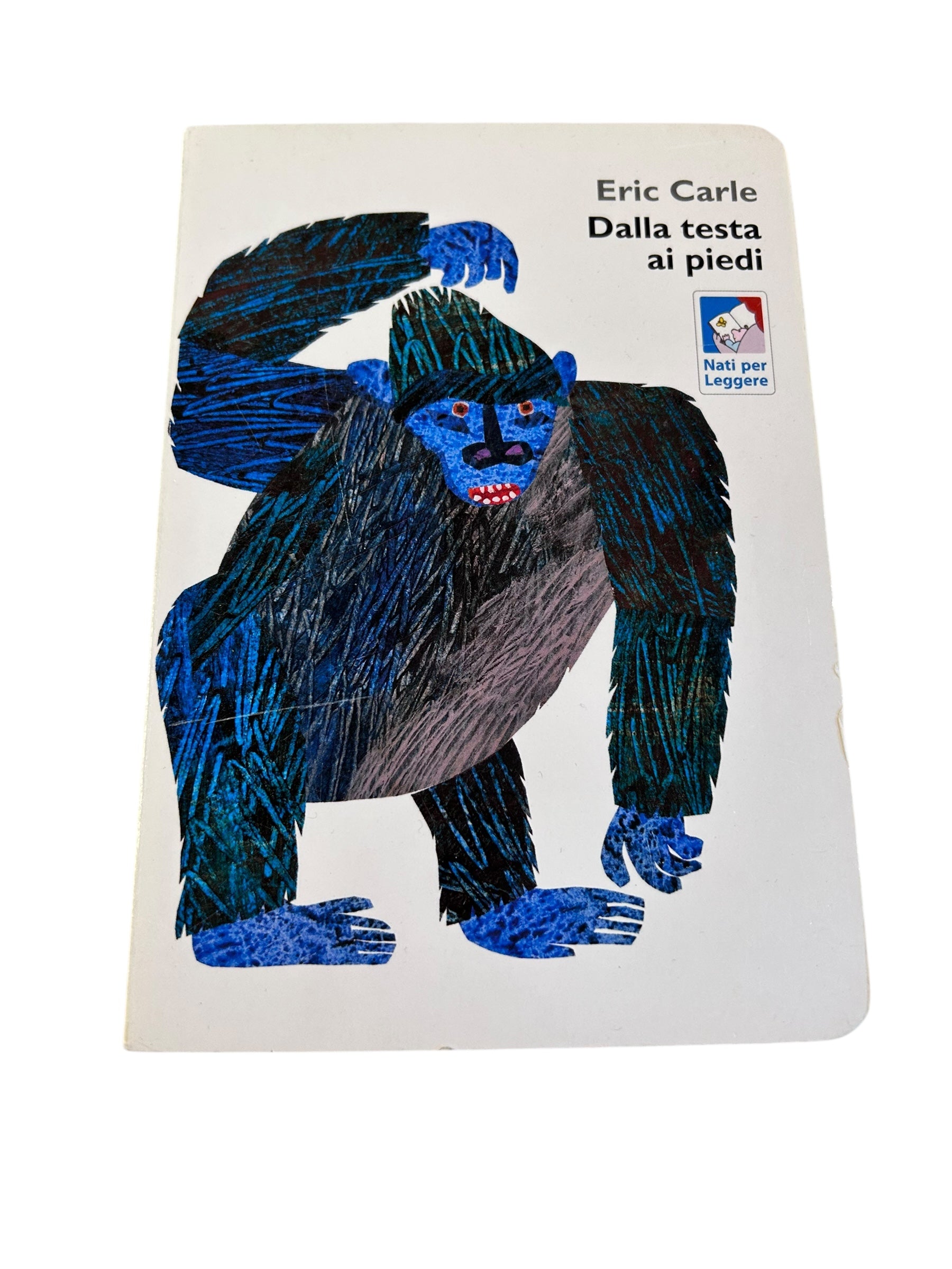 Dalla Testa Ai Piedi