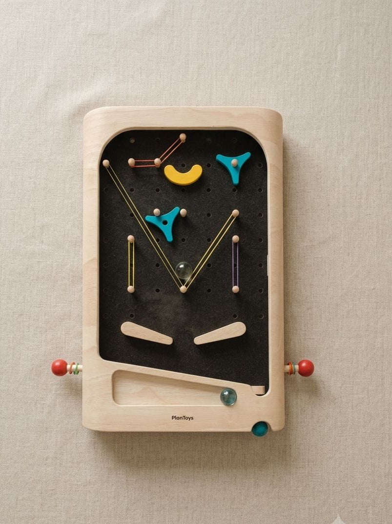 Flipper Plan Toys