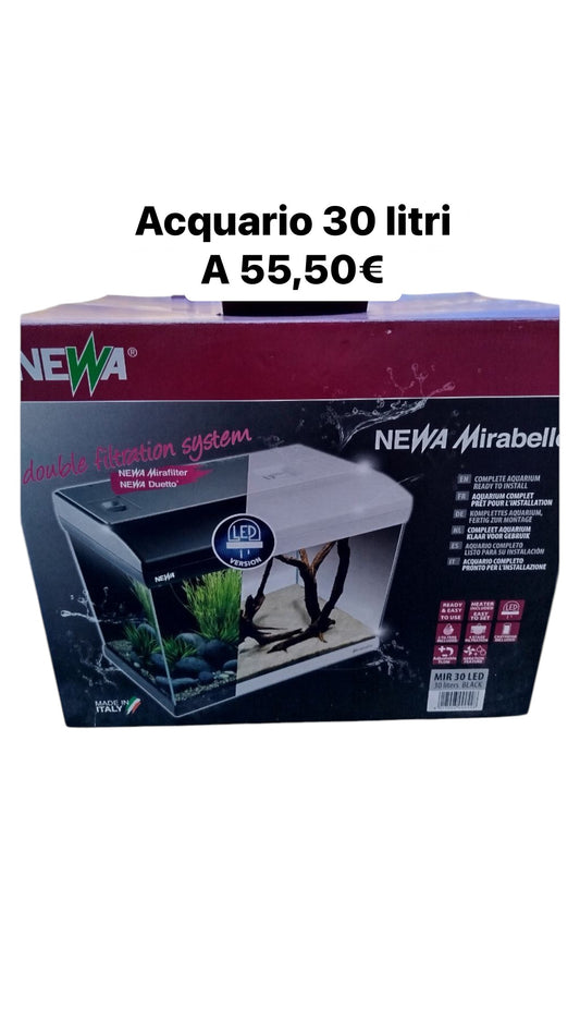 Acquario 30 L + Accessori