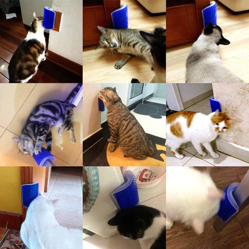 Spazzola Per Gatti Autopulente Catit Con Erba Gatta All'interno