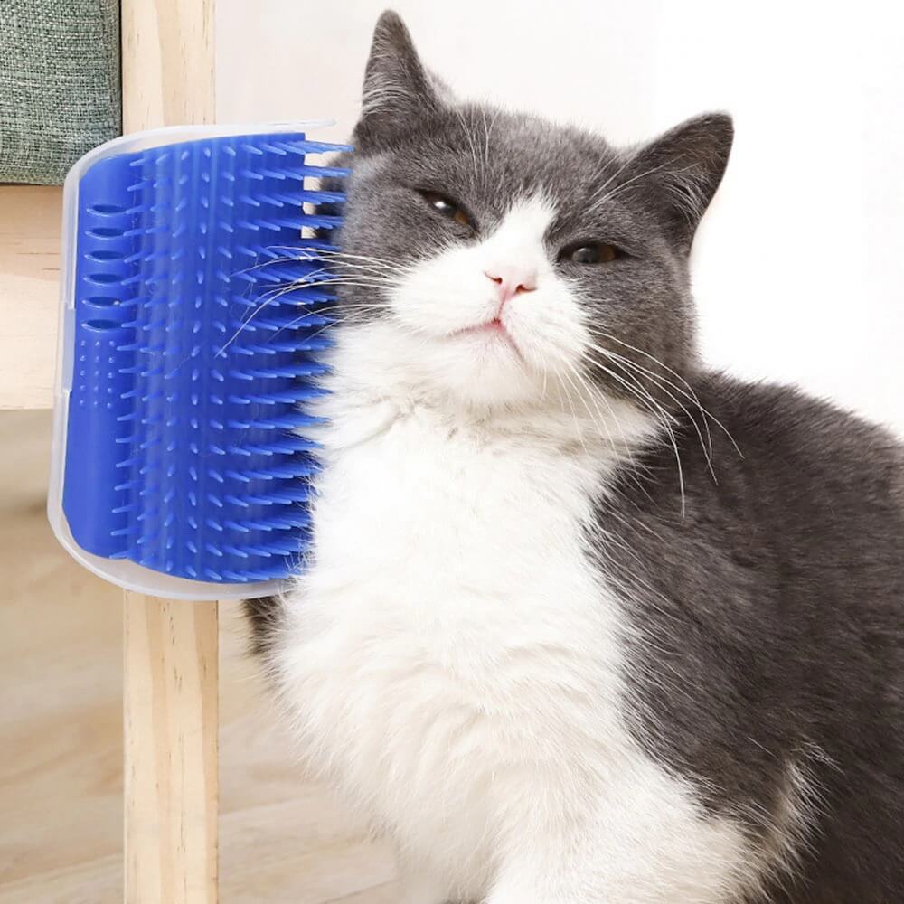 Spazzola Per Gatti Autopulente Catit Con Erba Gatta All'interno