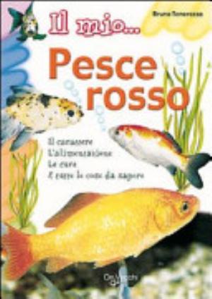 Il Mio --- Pesce Rosso - Bruno Tenerezza, Andrea Sperotti