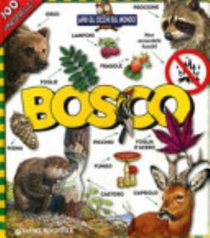 Bosco. Apri Gli Occhi Sul Mondo - Anna Casalis