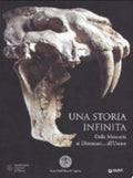 Una Storia Infinita. Dalle Meteoriti Ai Dinosauri... All'uomo - Fabrizio Bizzarini, Francesco Garofalo, Marco Toffol
