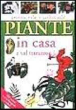 Piante In Casa E Sul Terrazzo - Pietro Paolo Gelio