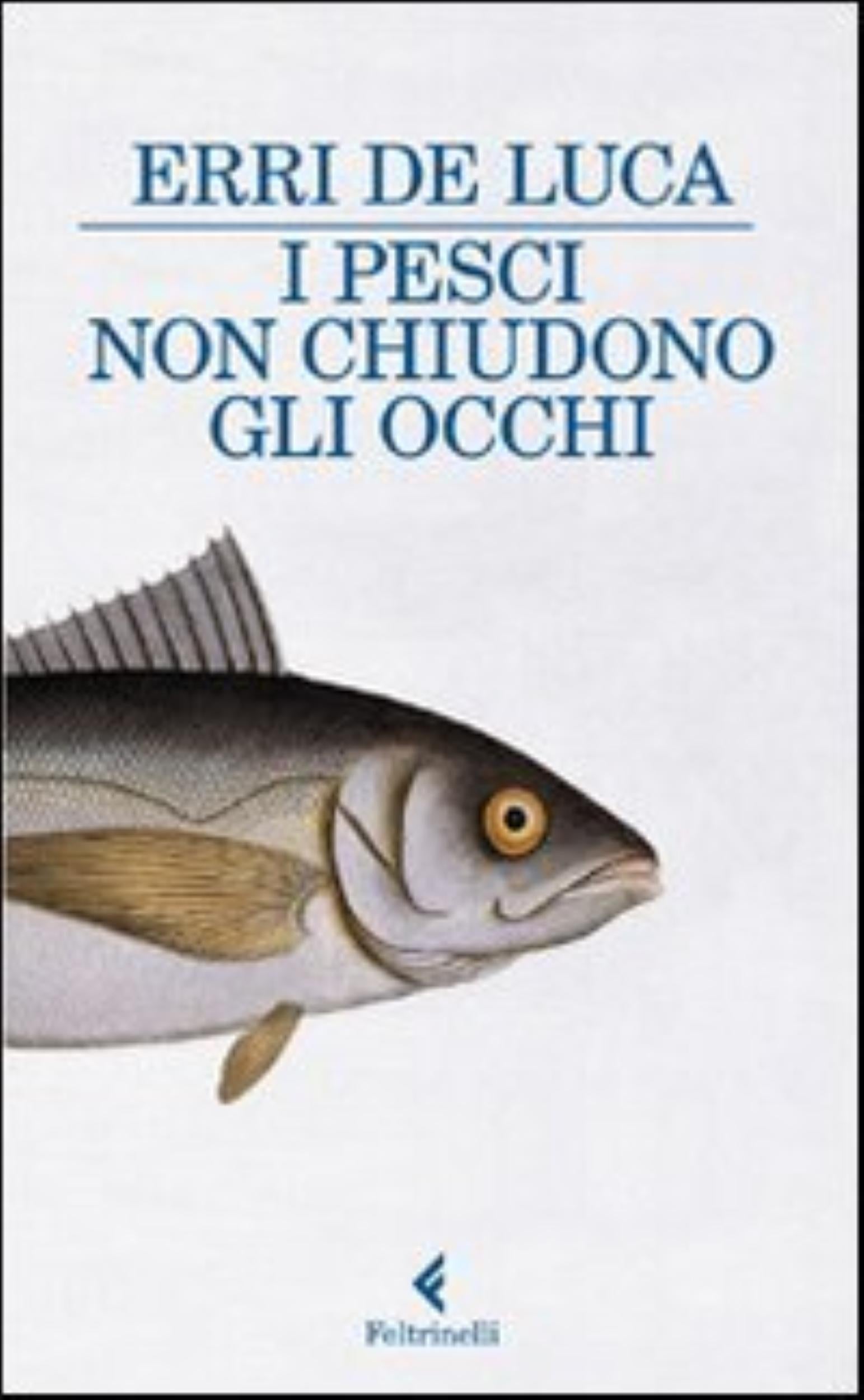 I Pesci Non Chiudono Gli Occhi - Erri De Luca